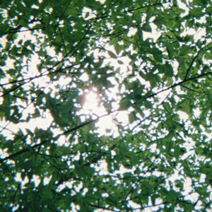 男女性爽大片视频
