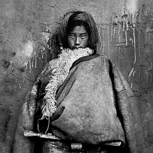 男女性爽大片视频
